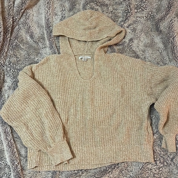 American Eagle Outfitters Sweaters - AE Cropped & Hooded Sweater